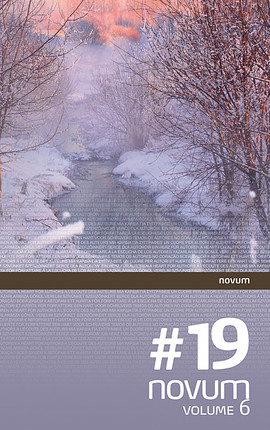 novum #19 Cover: novum #19